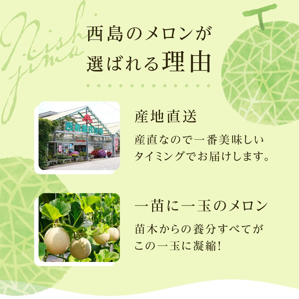 桐箱入りマスクメロン 1個 2個 1玉 2玉 フルーツ 果物 くだもの プレゼント 食品 贈答用 高級 ギフト 贈り物 高評価 人気 おすすめ 旬 産地直送 ふるさと納税メロン 西島園芸団地 高知県 南国市 NE017 NE018